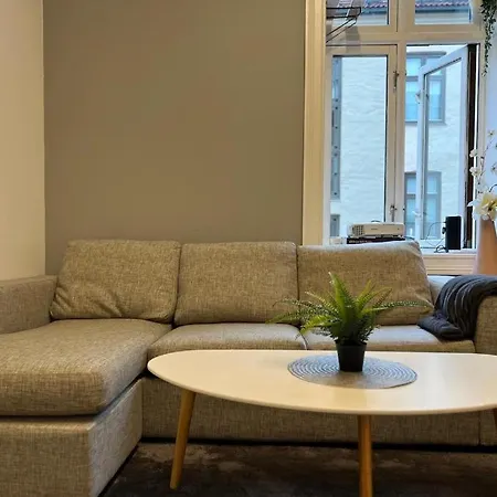 Leilighet Scandinavian Flat Oslo
